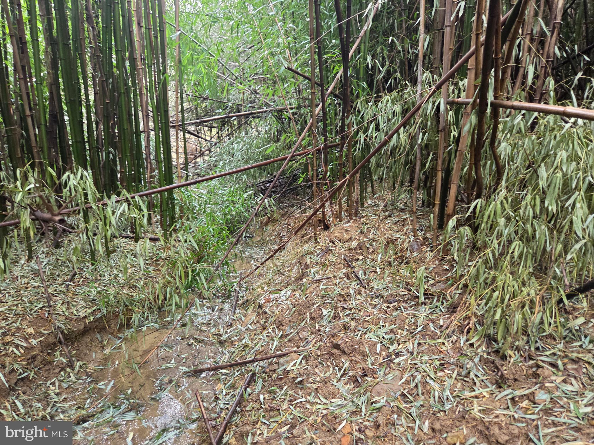 1237 Buckwheat Road Millerstown, PA 17062 - Photo 40 of 66