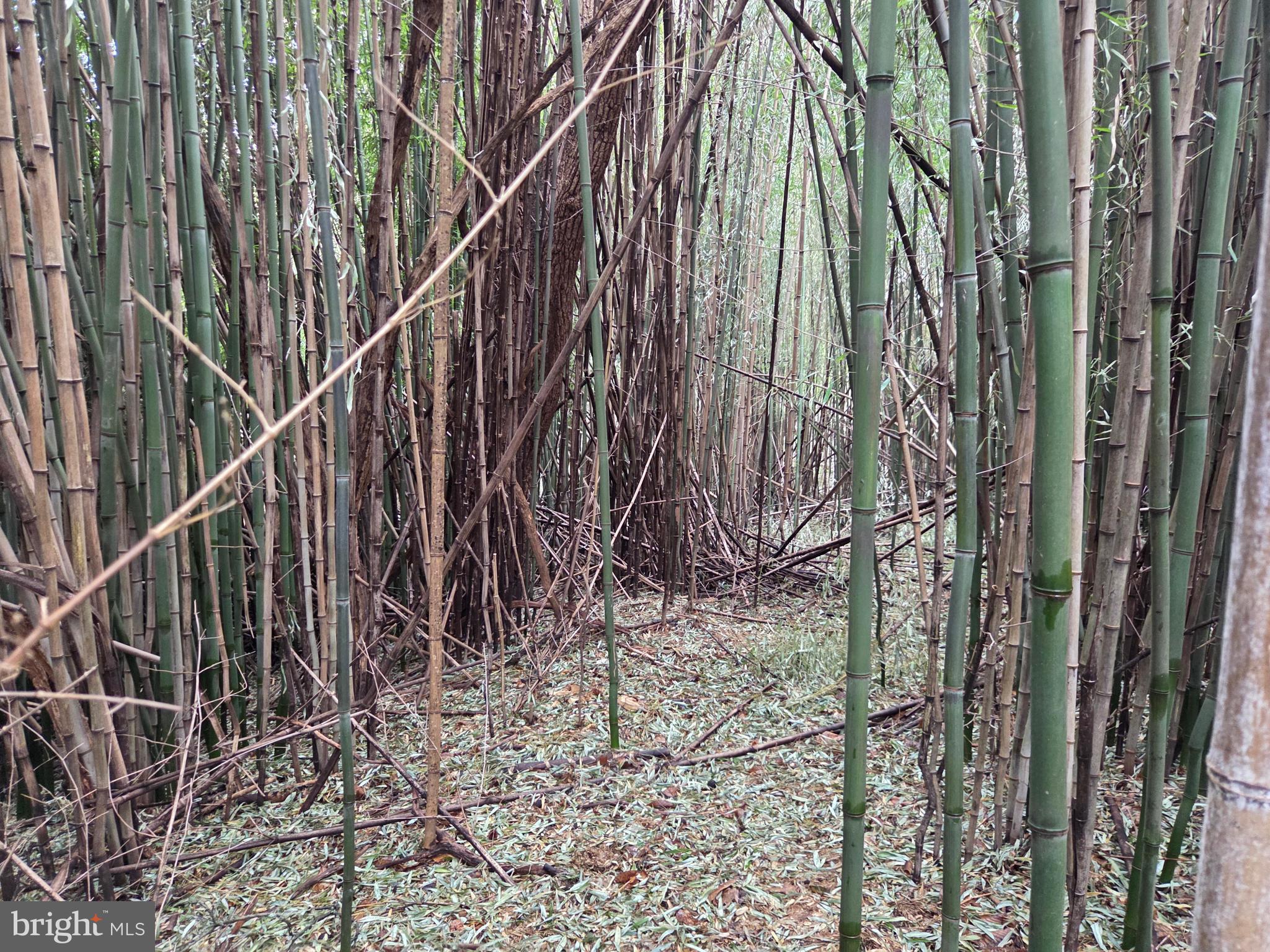 1237 Buckwheat Road Millerstown, PA 17062 - Photo 41 of 66