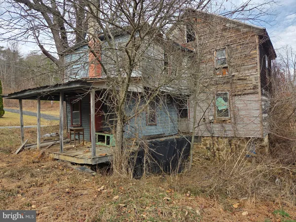 a view of a forest with trees in the background