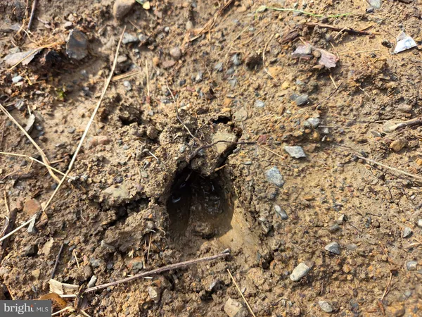 $214,900 | 1237 Buckwheat Road, Millerstown, PA 17062