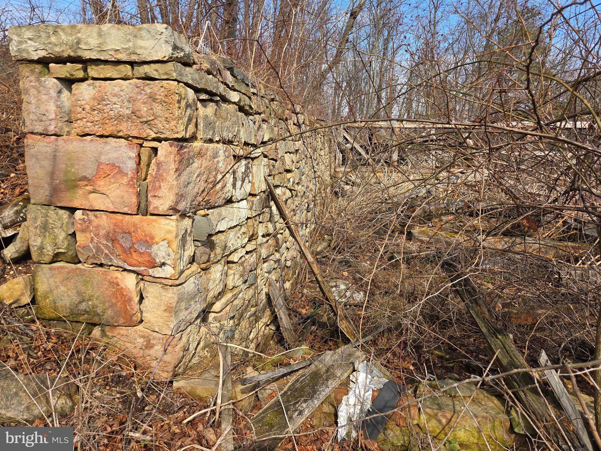 1237 Buckwheat Road Millerstown, PA 17062 - Photo 51 of 66