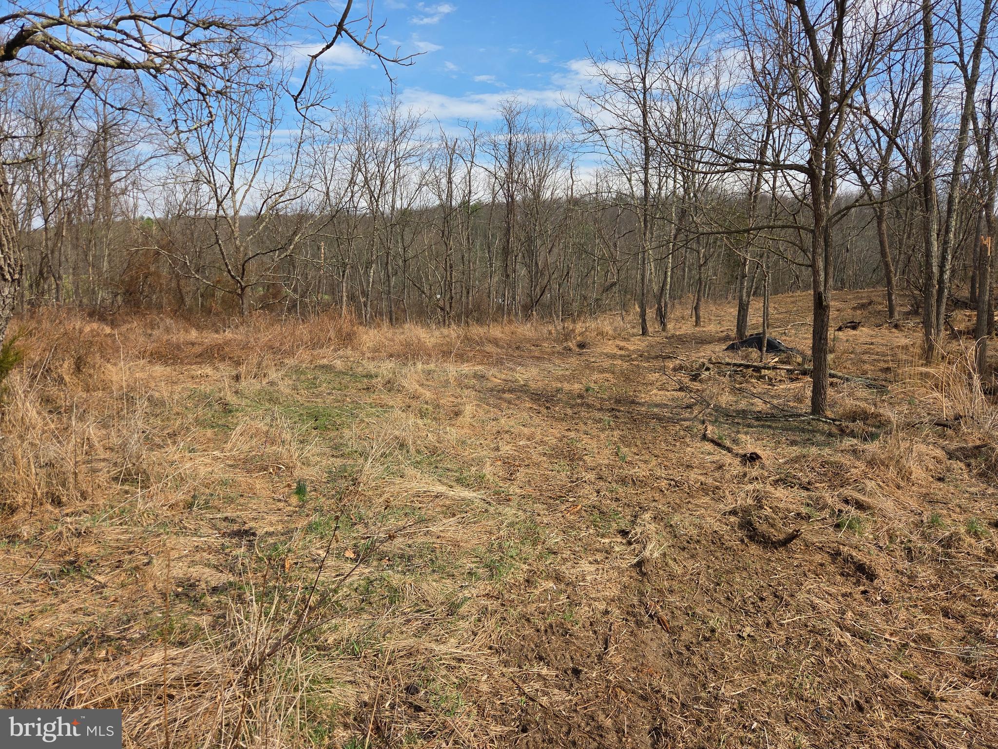 1237 Buckwheat Road Millerstown, PA 17062 - Photo 54 of 66