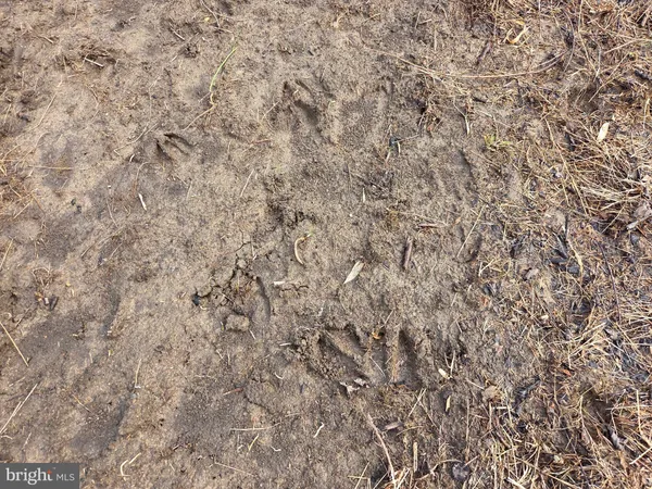 $229,000 | 1237 Buckwheat Road, Millerstown, PA 17062