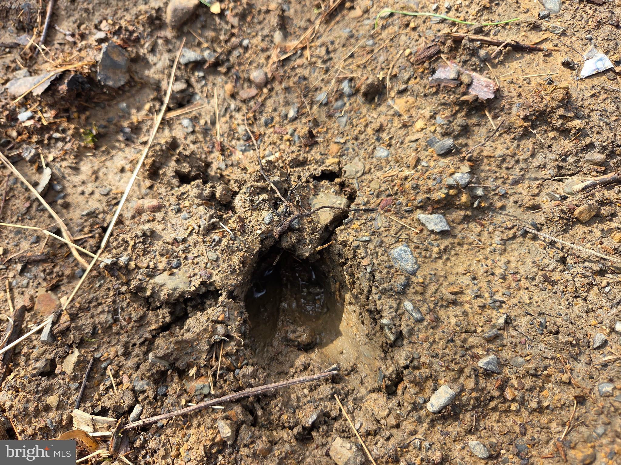 1237 Buckwheat Road Millerstown, PA 17062 - Photo 57 of 66