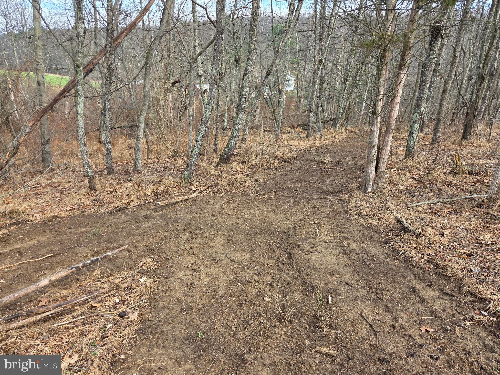 1237 Buckwheat Road Millerstown, PA 17062 - Photo 58 of 66