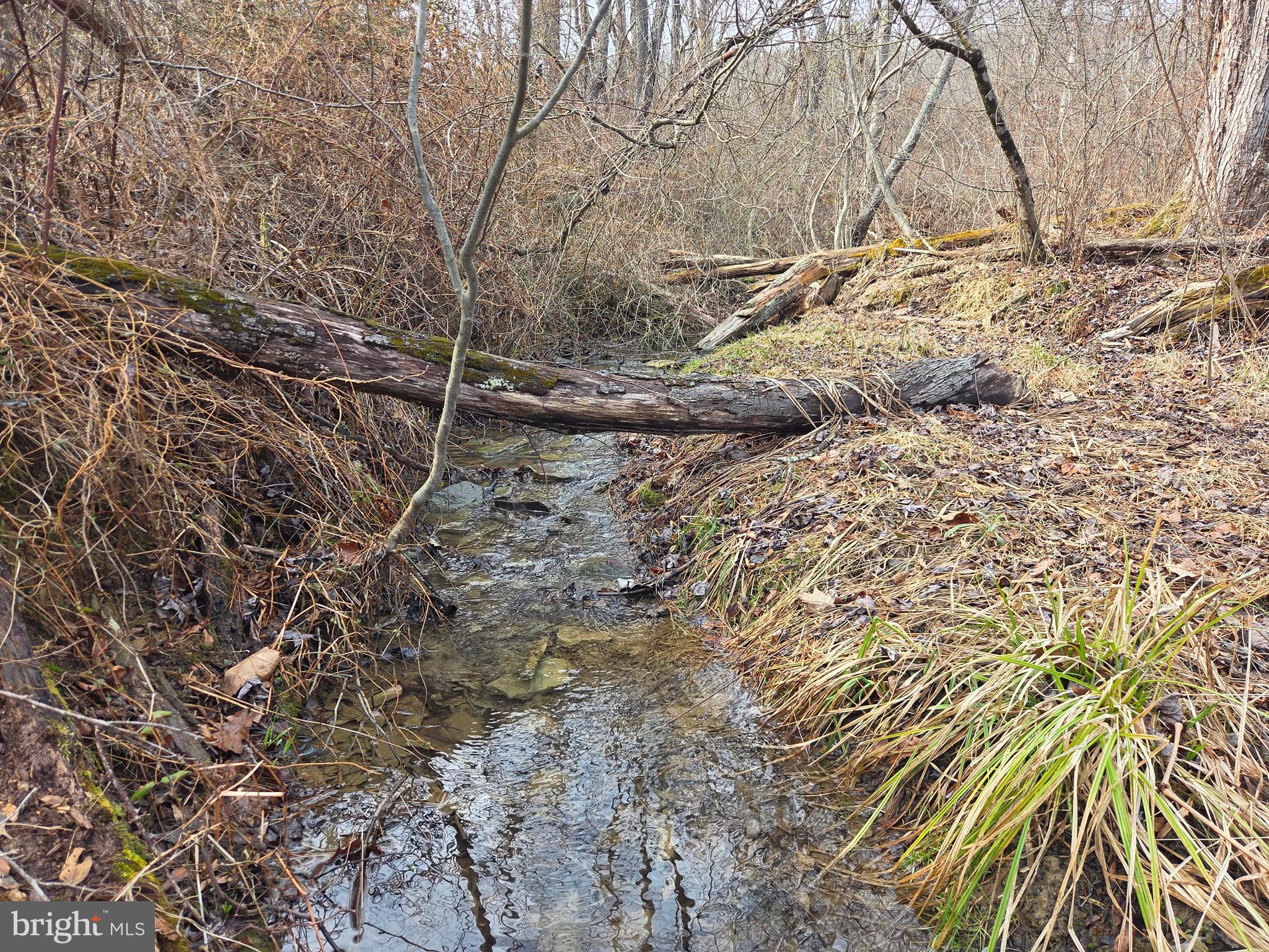 1237 Buckwheat Road Millerstown, PA 17062 - Photo 59 of 66