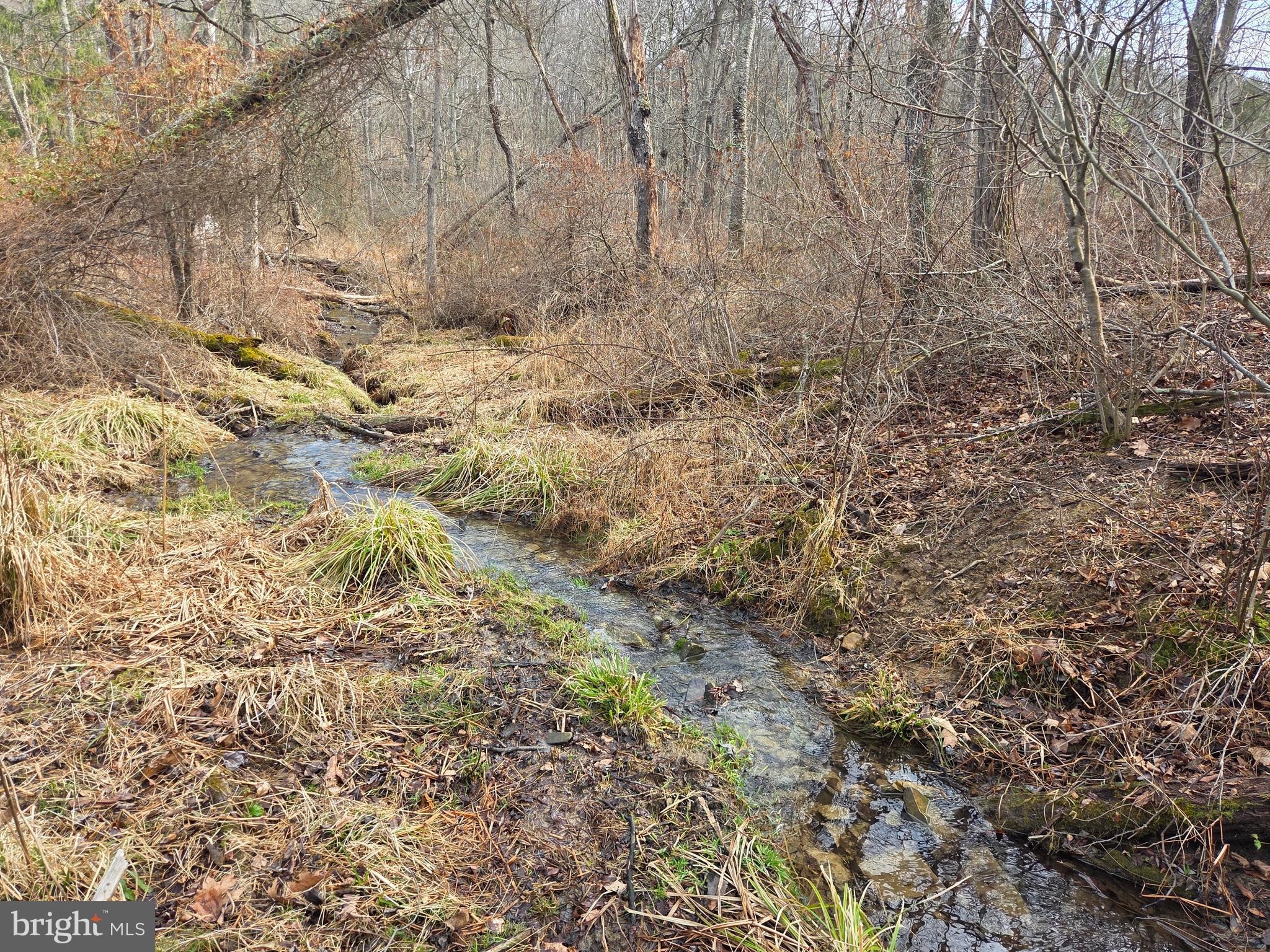 1237 Buckwheat Road Millerstown, PA 17062 - Photo 60 of 66