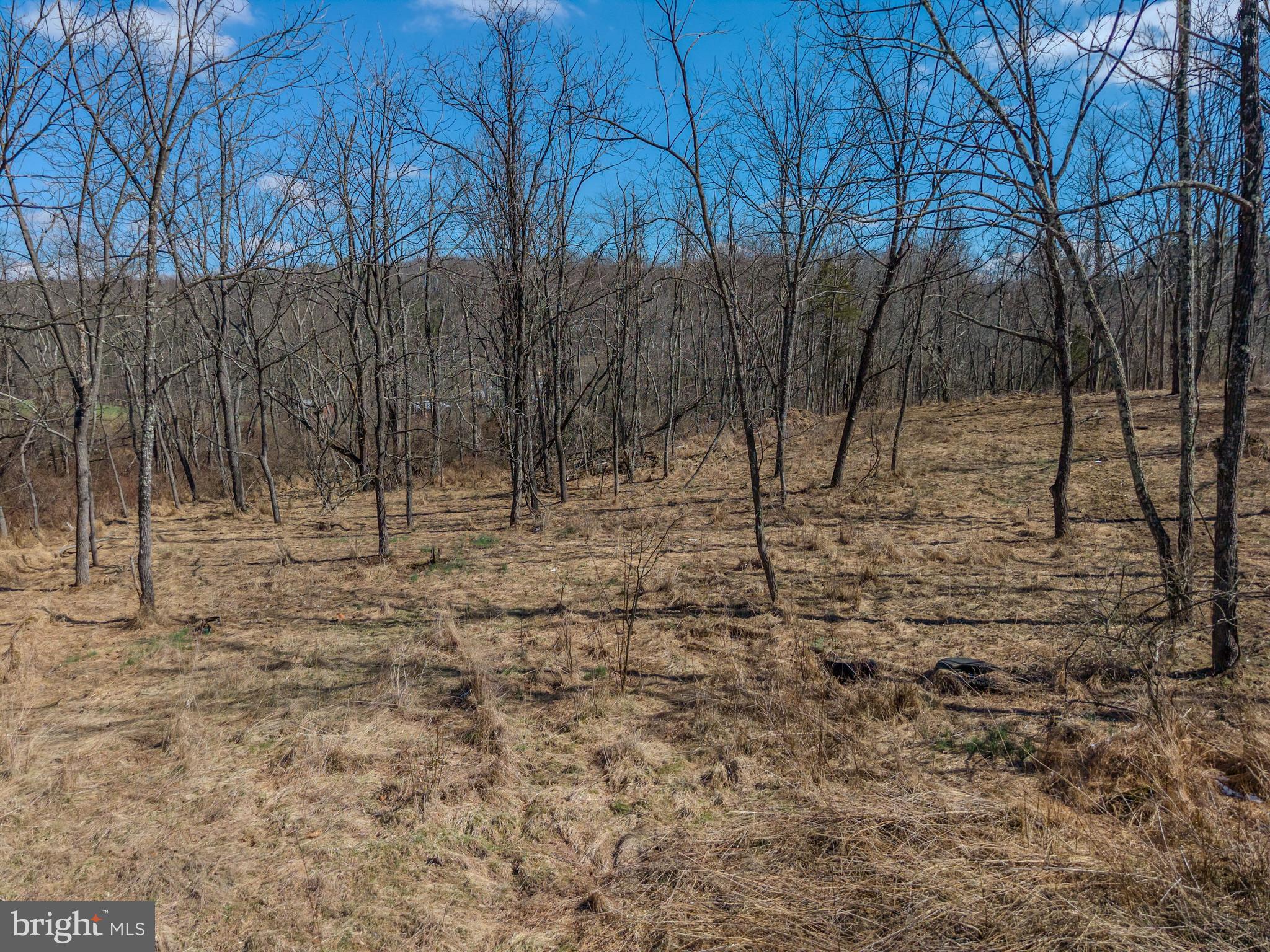 1237 Buckwheat Road Millerstown, PA 17062 - Photo 6 of 66