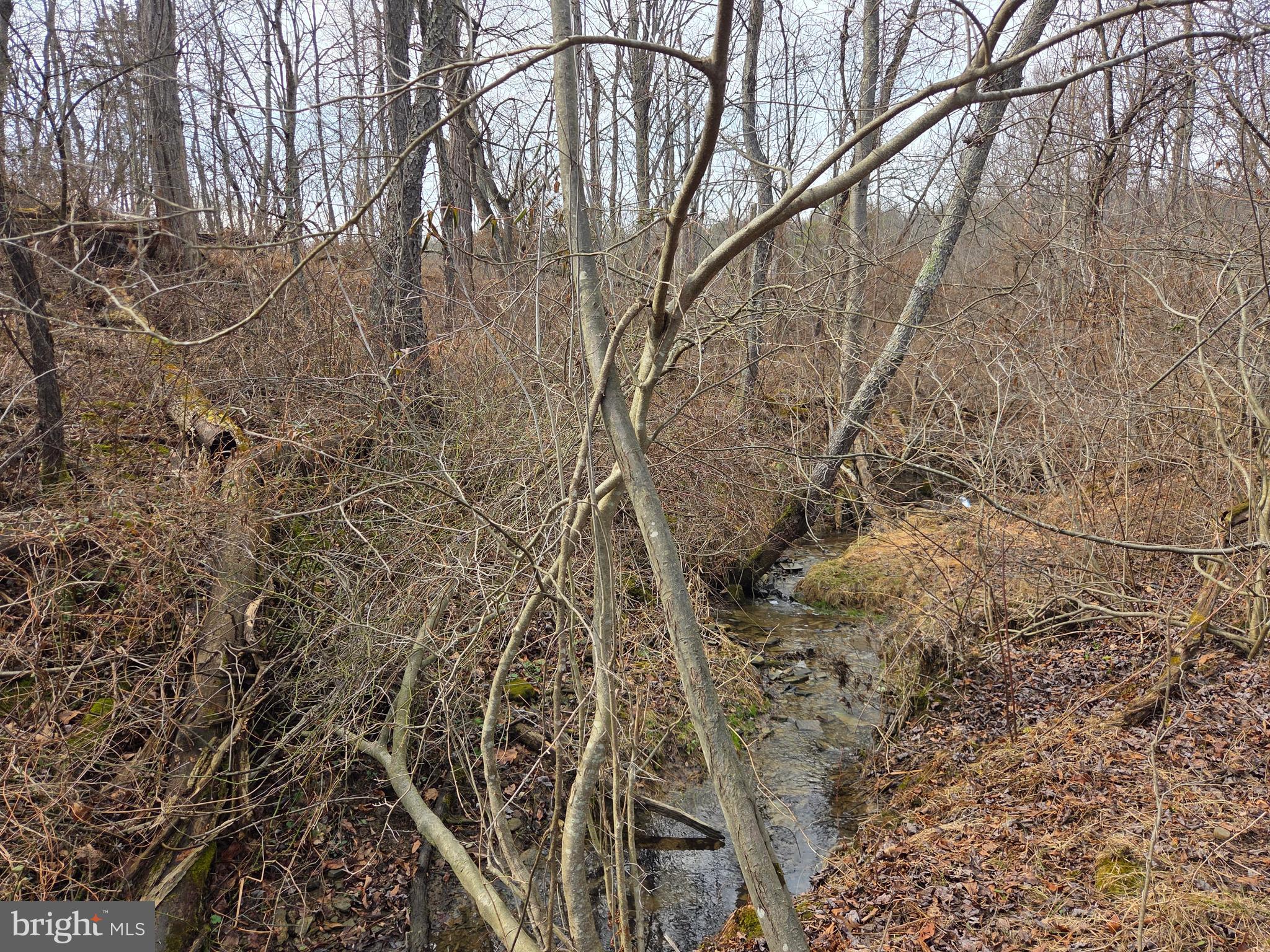 1237 Buckwheat Road Millerstown, PA 17062 - Photo 61 of 66