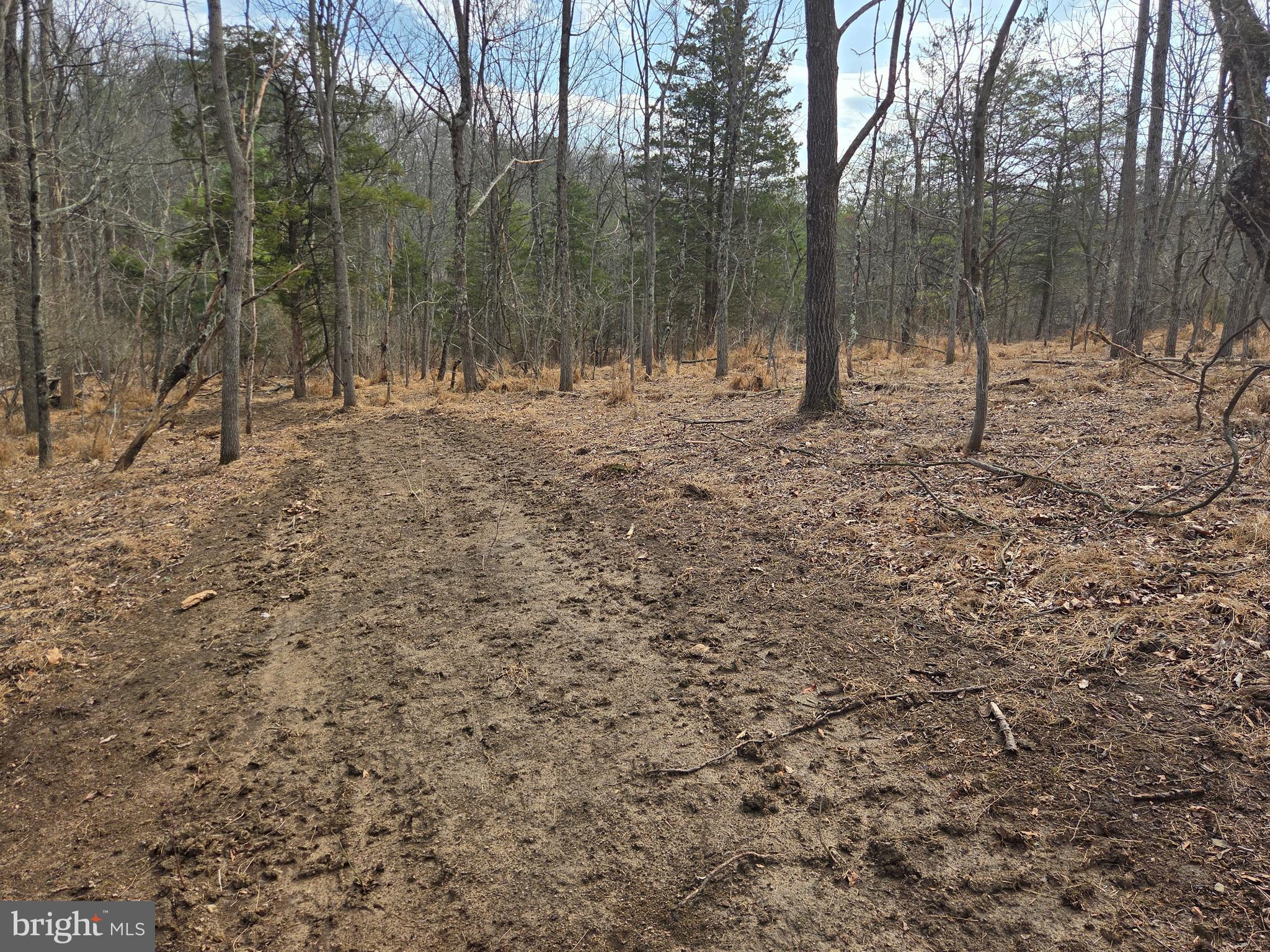 1237 Buckwheat Road Millerstown, PA 17062 - Photo 62 of 66