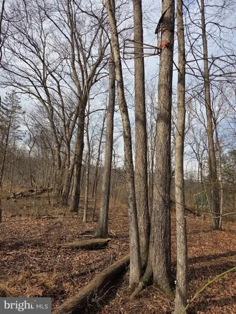 $229,000 | 1237 Buckwheat Road, Millerstown, PA 17062