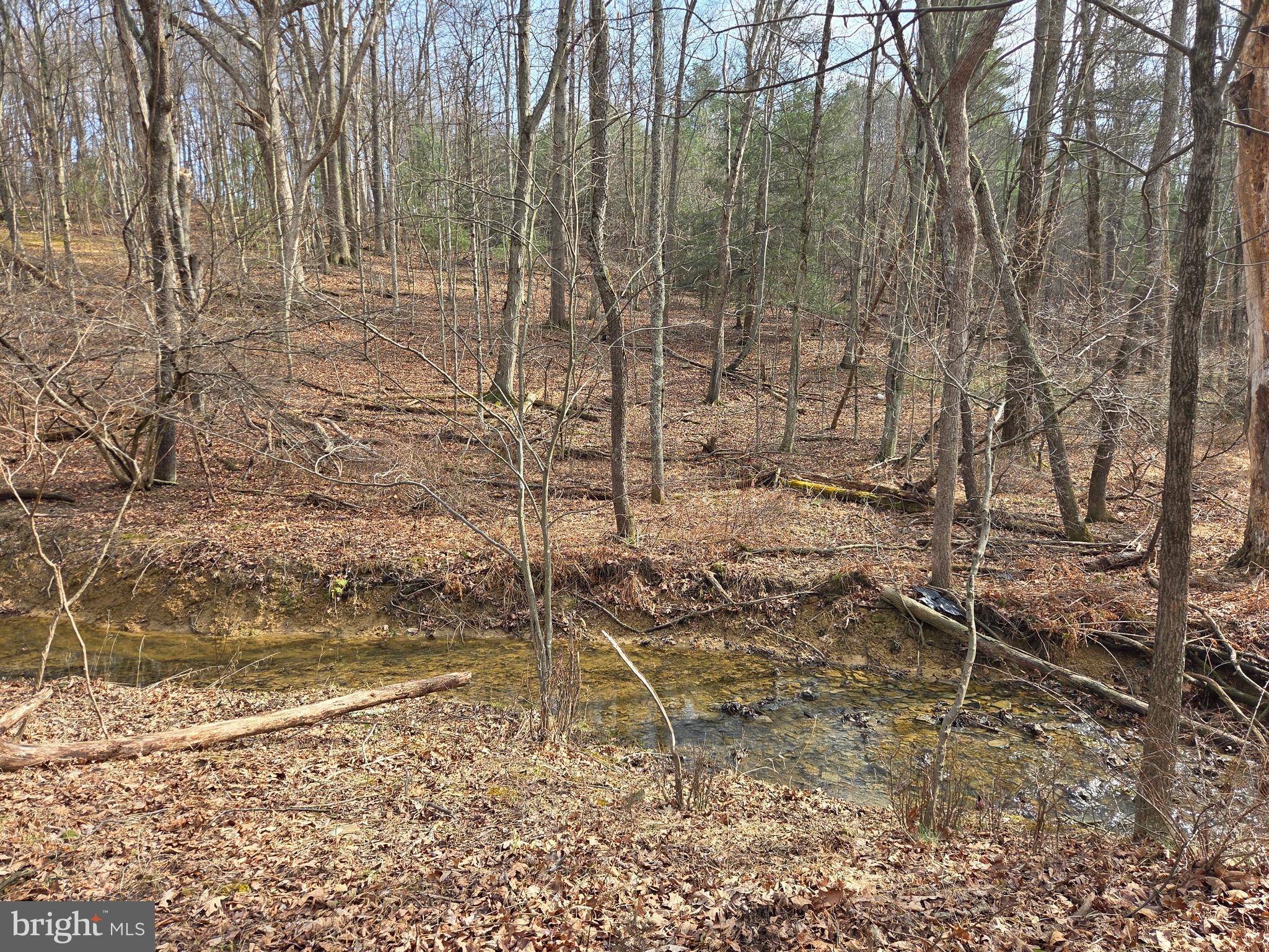 1237 Buckwheat Road Millerstown, PA 17062 - Photo 66 of 66