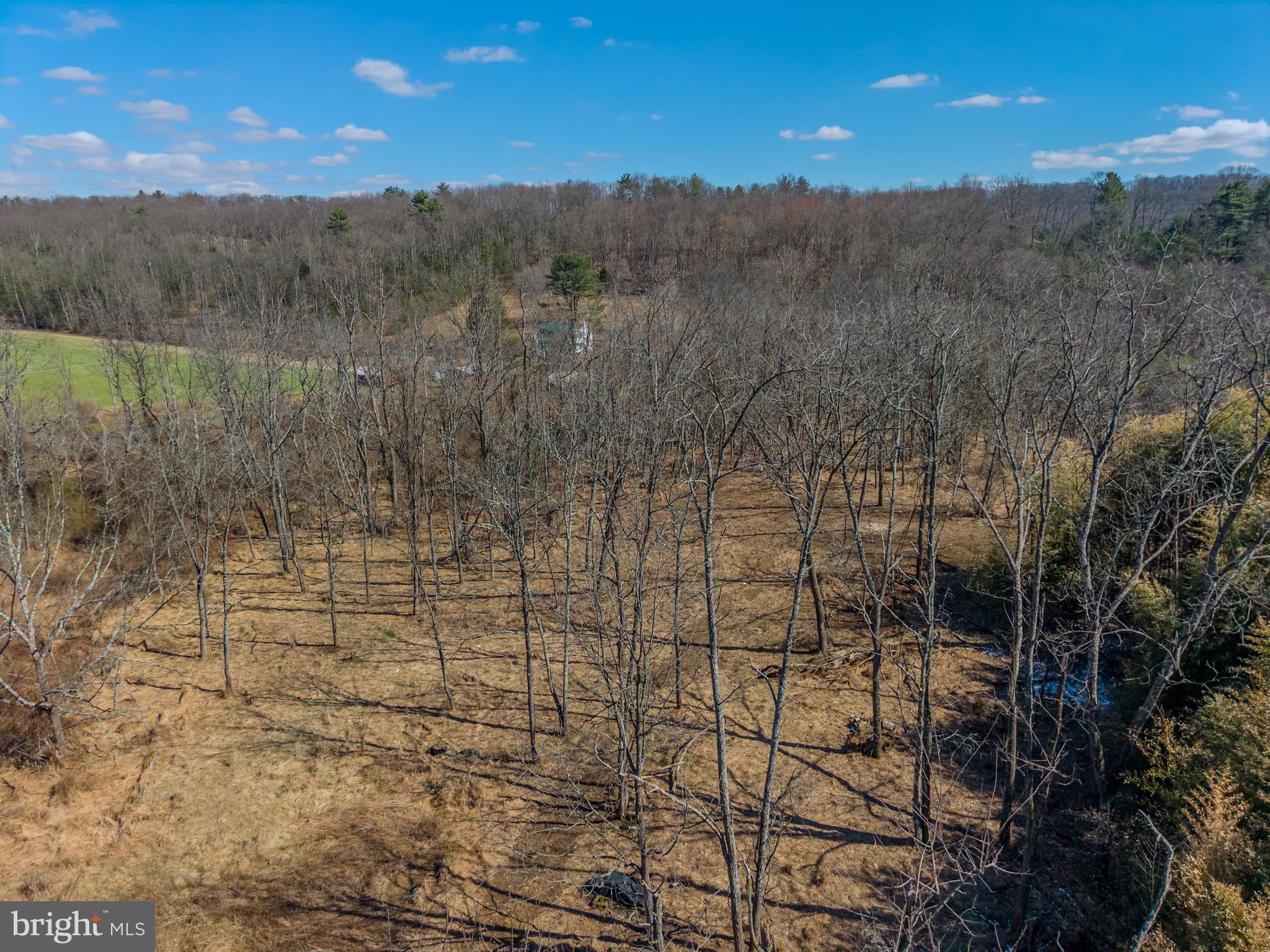 1237 Buckwheat Road Millerstown, PA 17062 - Photo 7 of 66