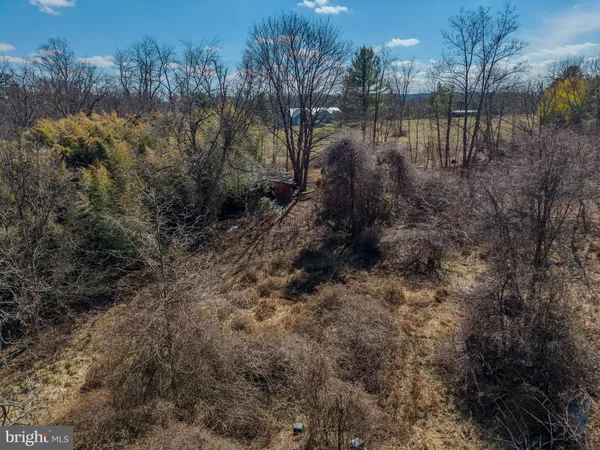 a view of a yard with plants and a bench