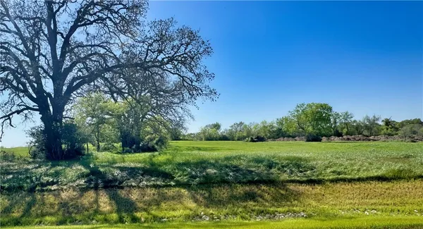 a view of a garden with a lake