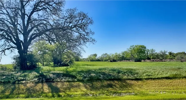 a view of a garden with a lake