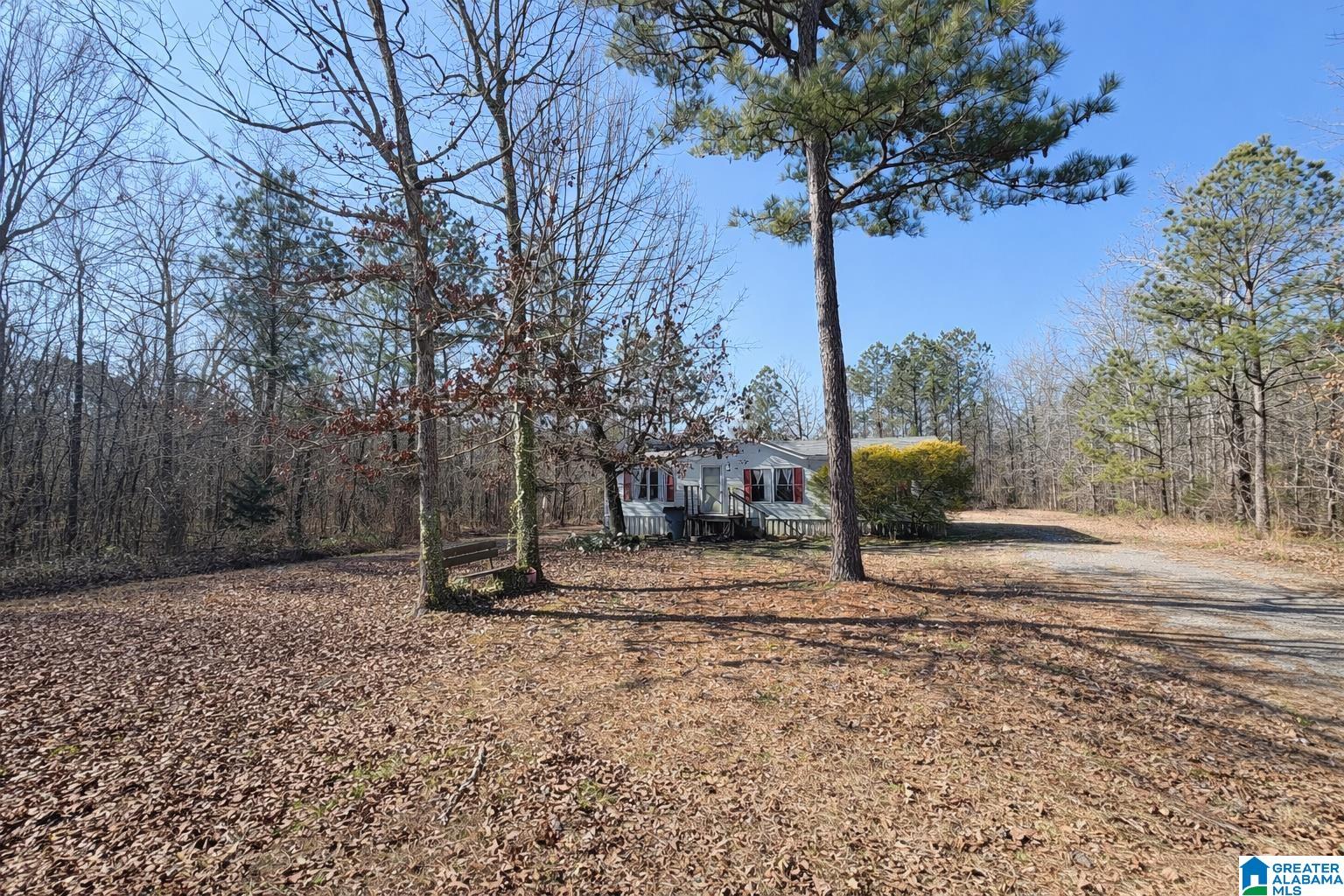 4920 Deer Run Road Cedar Bluff, AL 35959 - Photo 10 of 13