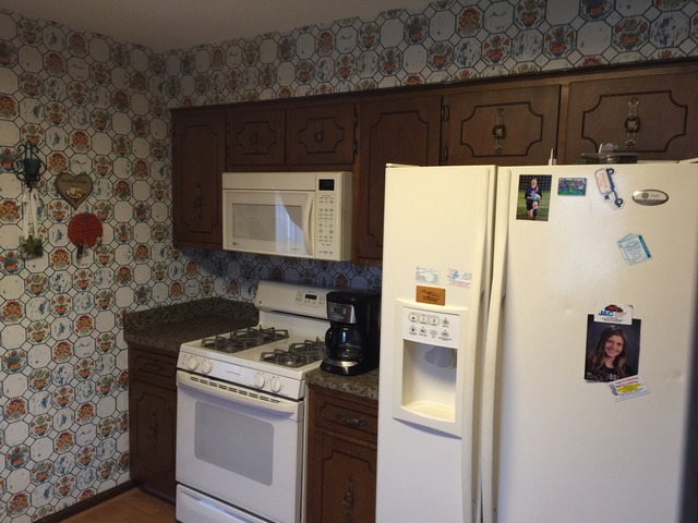 16253 South River Road Plainfield, IL 60586 - Photo 5 of 14 a kitchen with a refrigerator and a stove
