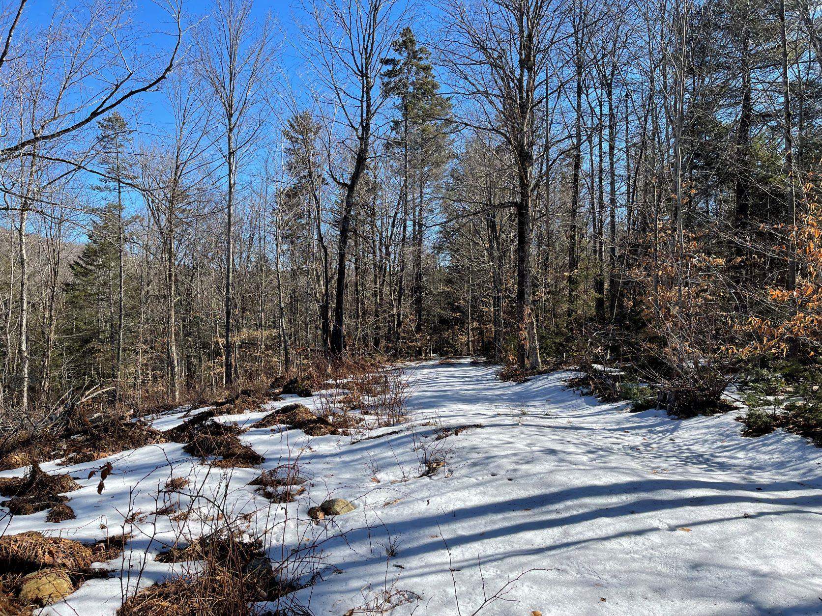 0 Reed Road Marlow, NH 03456 - Photo 7 of 13 Gallery Image 7