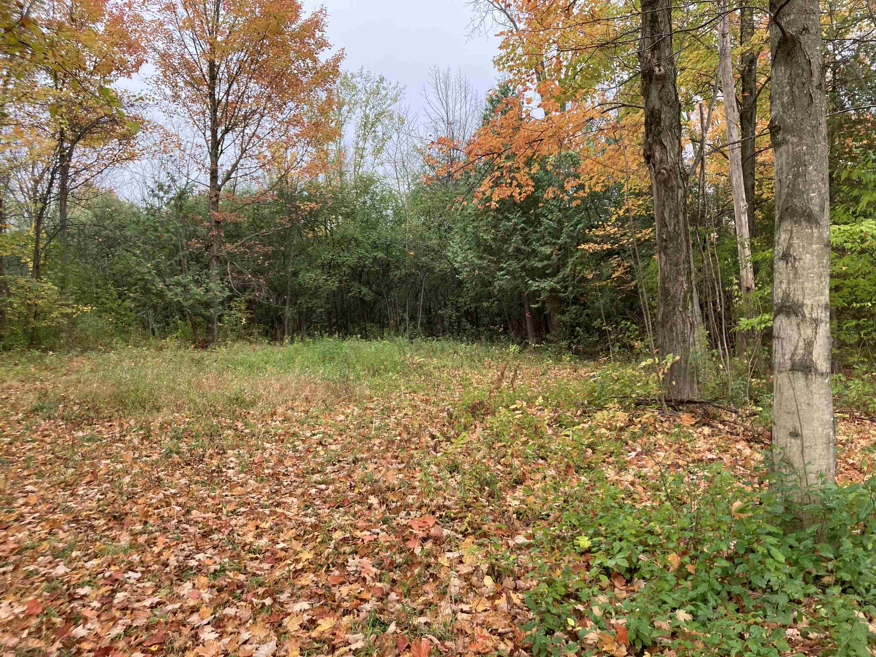 Tbd Ironwood Road, Unit LOT # 5 St. Albans, VT 05478 - Photo 1 of 40 Gallery Image 1
