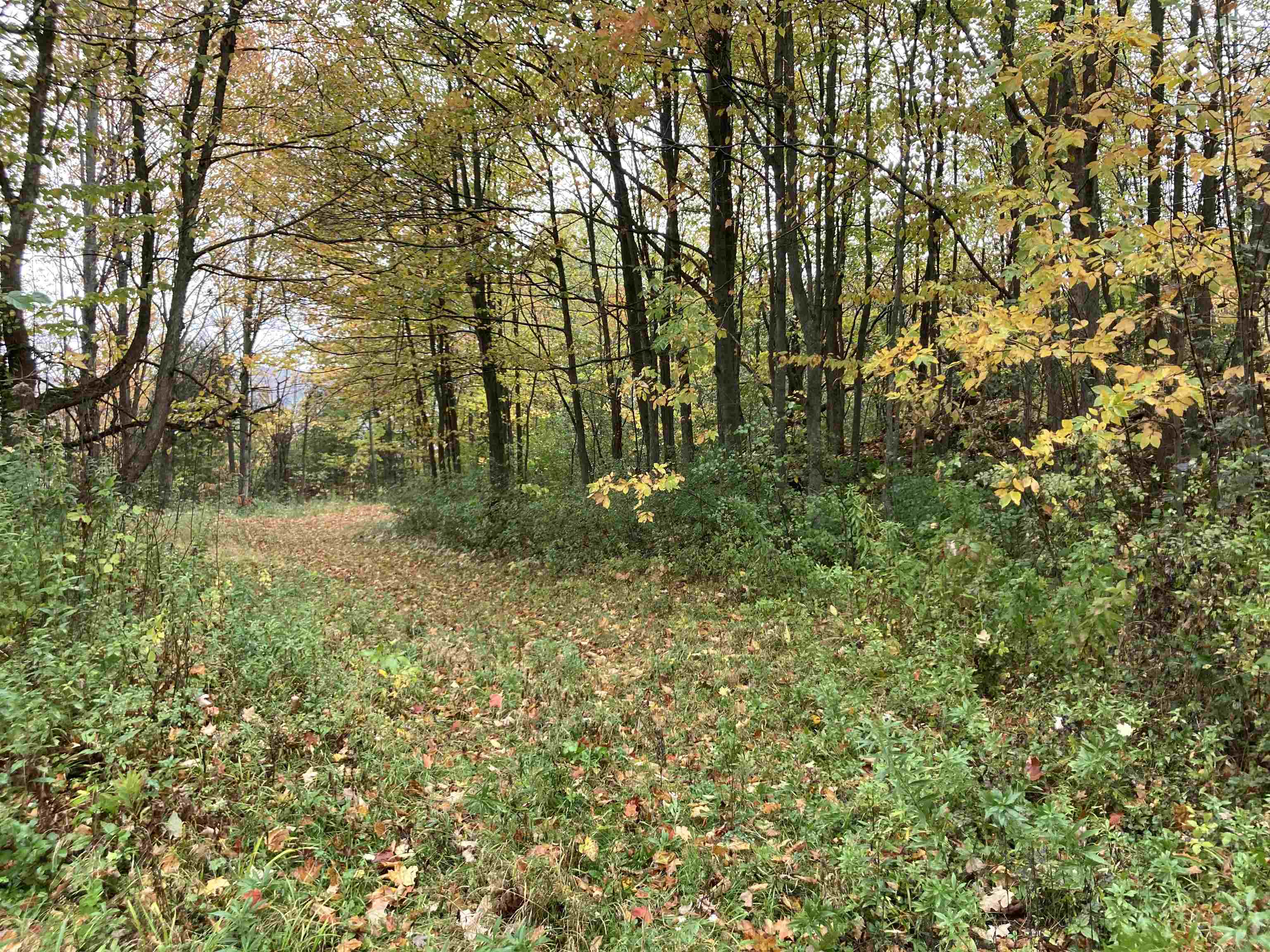 Tbd Ironwood Road, Unit LOT # 5 St. Albans, VT 05478 - Photo 3 of 40 Gallery Image 3