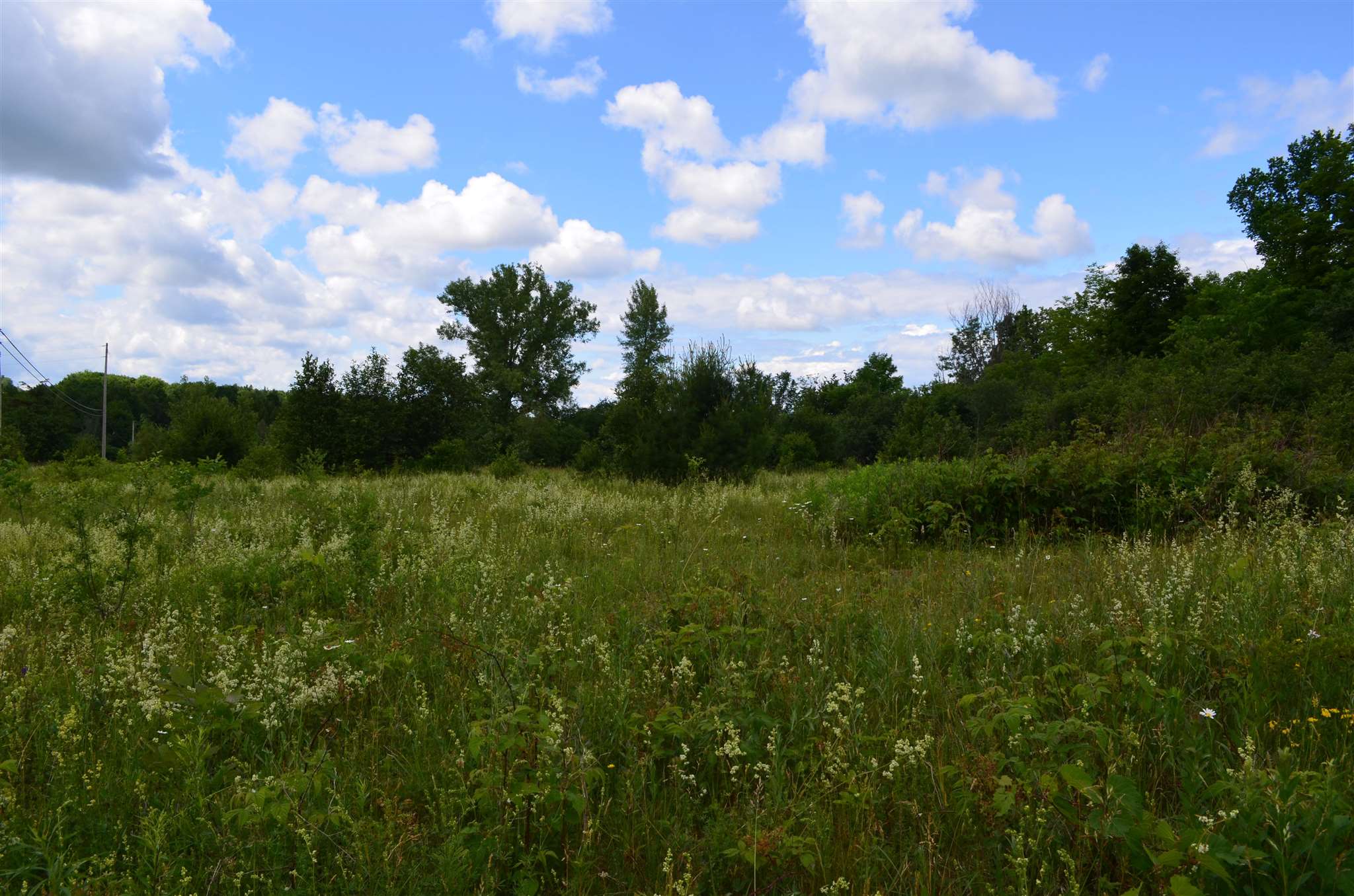 Tbd Ironwood Road, Unit LOT # 5 St. Albans, VT 05478 - Photo 23 of 40 Gallery Image 23