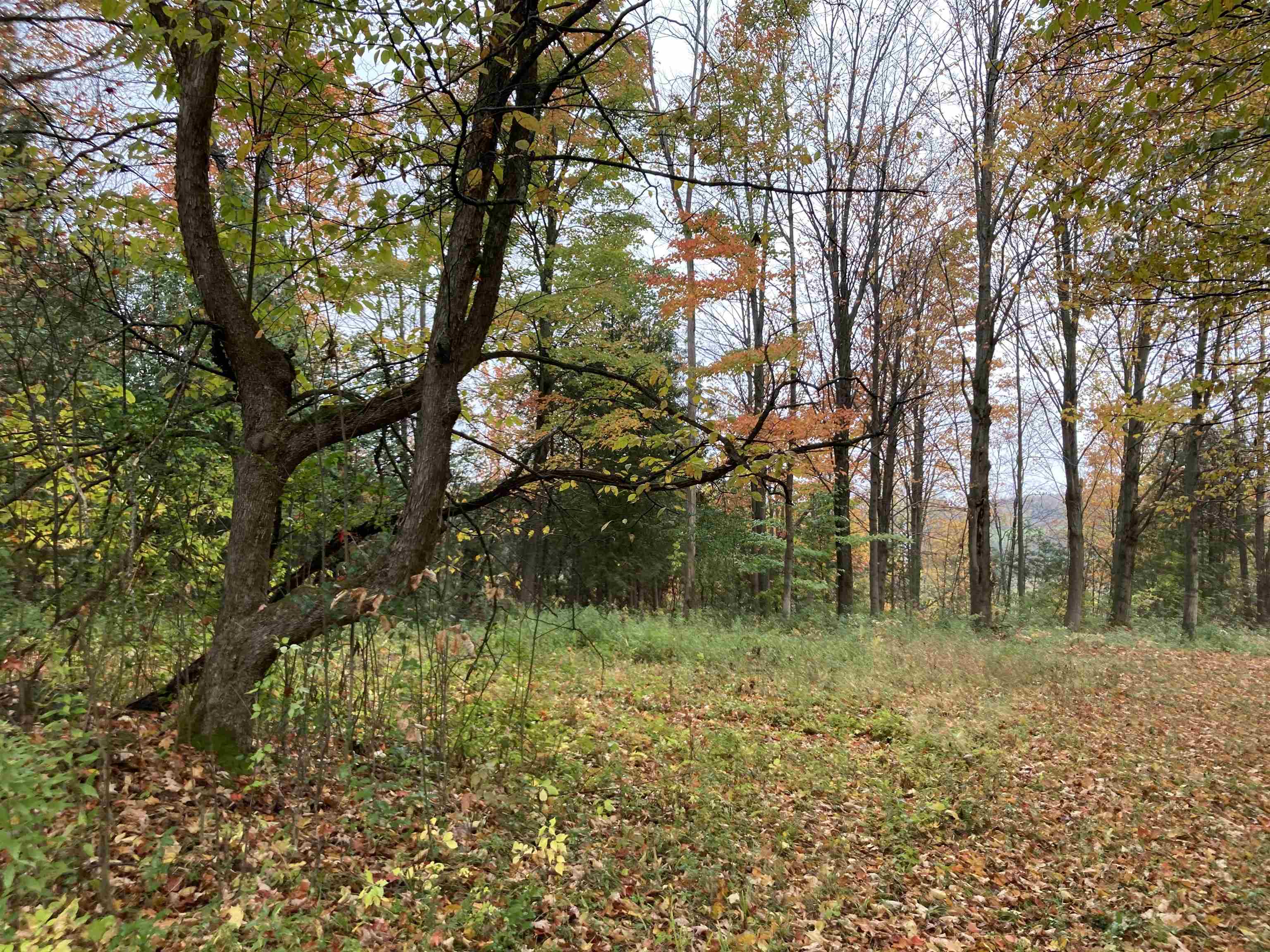 Tbd Ironwood Road, Unit LOT # 5 St. Albans, VT 05478 - Photo 4 of 40 Gallery Image 4