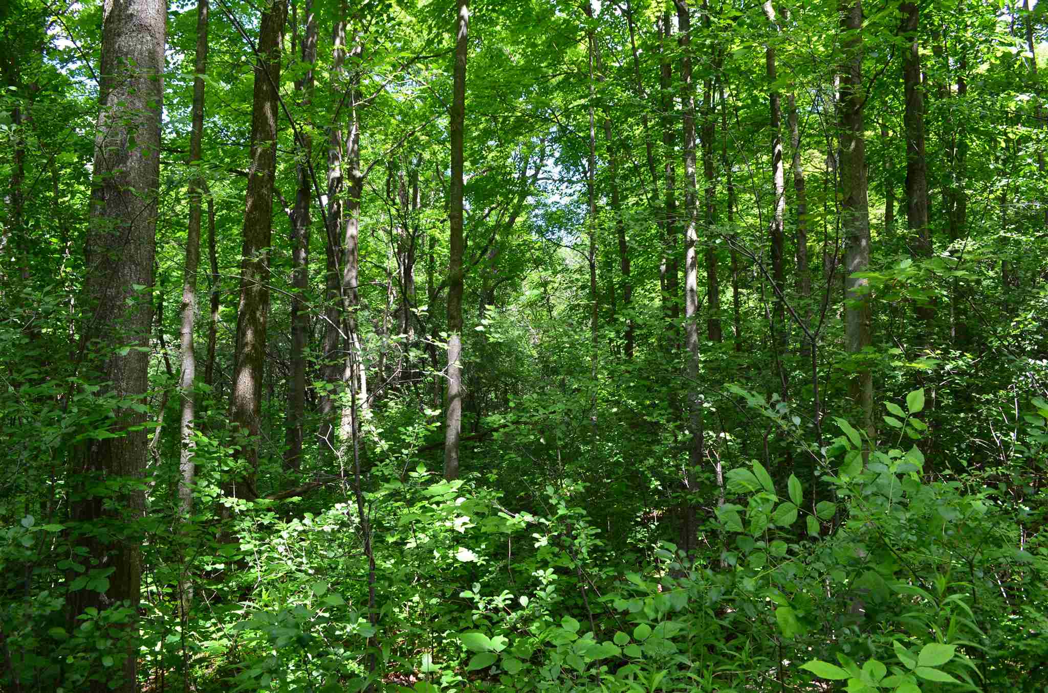 Tbd Ironwood Road, Unit LOT # 5 St. Albans, VT 05478 - Photo 34 of 40 Gallery Image 34