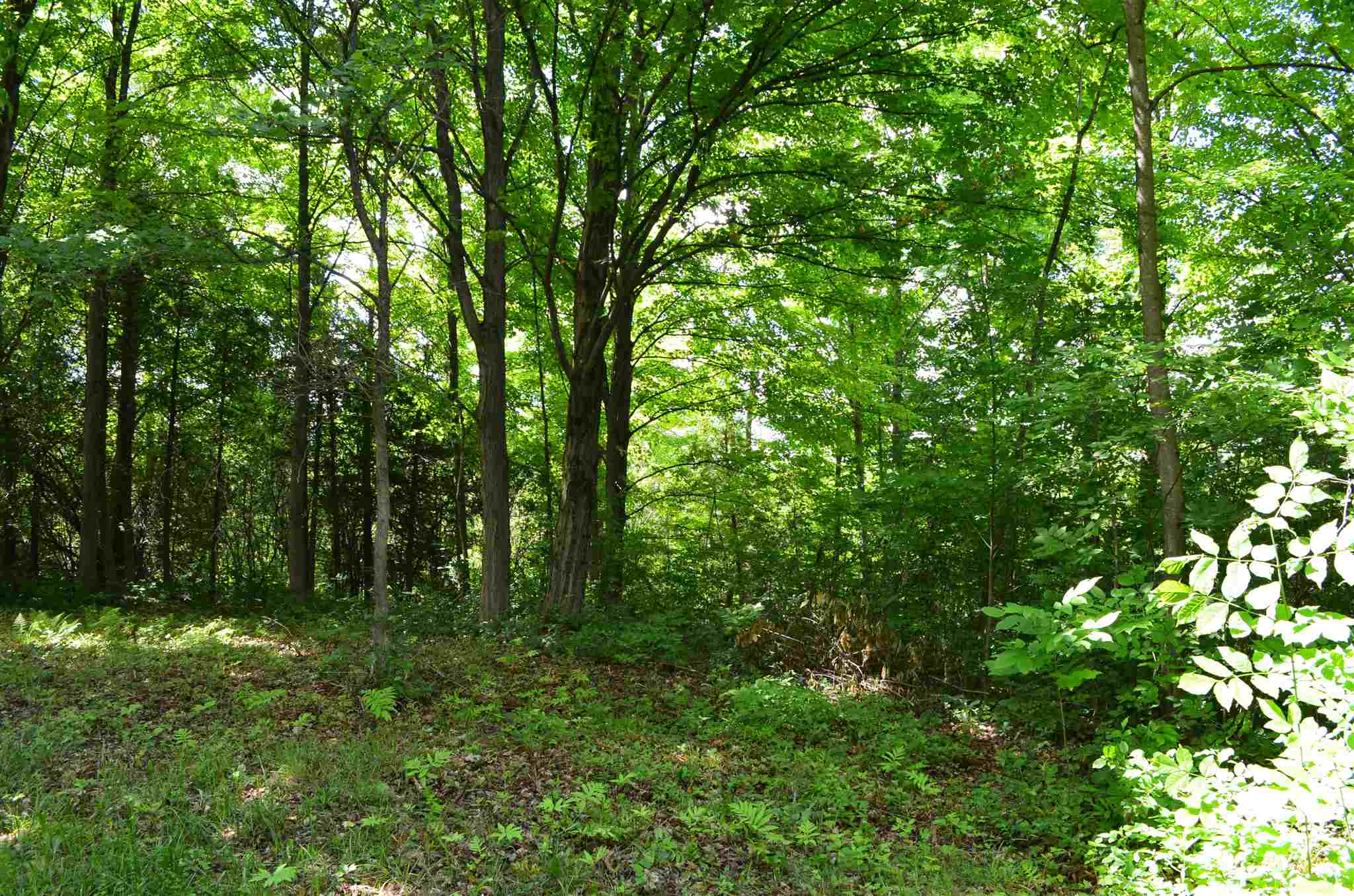 Tbd Ironwood Road, Unit LOT # 5 St. Albans, VT 05478 - Photo 40 of 40 Gallery Image 40