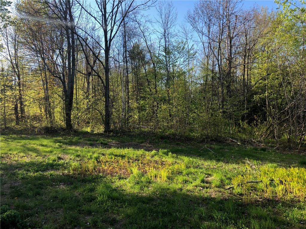 Lot 6 Christian Hill Road Charleston, ME 04422 - Photo 2 of 4 Road frontage on Christian Hill Road