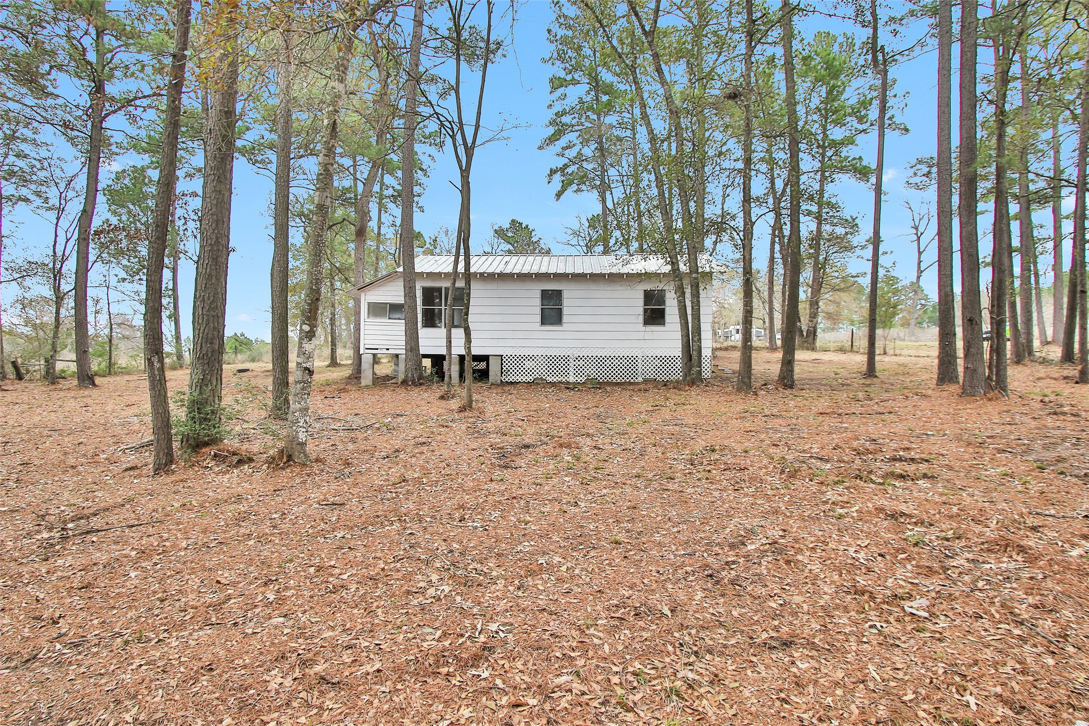 Split B Tall Pine Road Navasota, TX 77868 - Photo 11 of 21 a backyard of a house with barbeque oven and floor to ceiling window