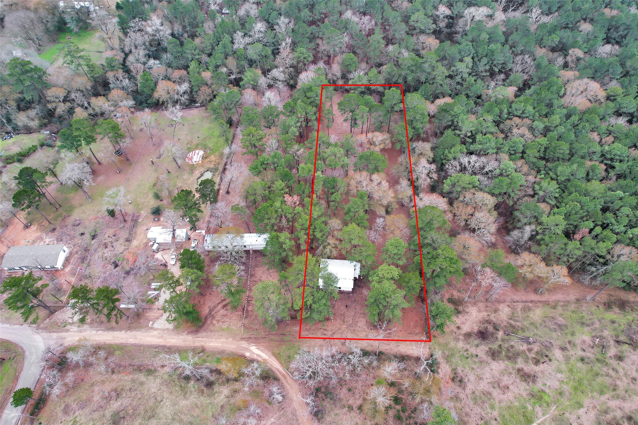 Split B Tall Pine Road Navasota, TX 77868 - Photo 8 of 21 a view of a pathway with a yard