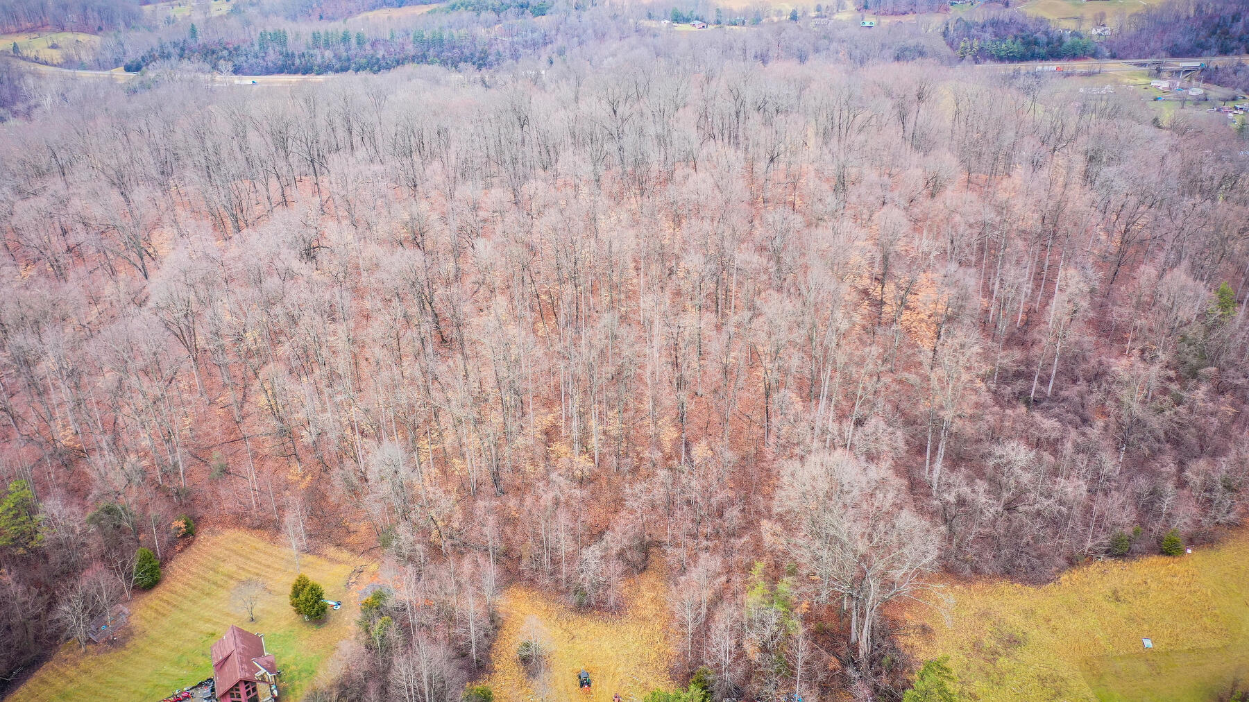 308 Ellis Road Blountville, TN 37617 - Photo 15 of 16 115