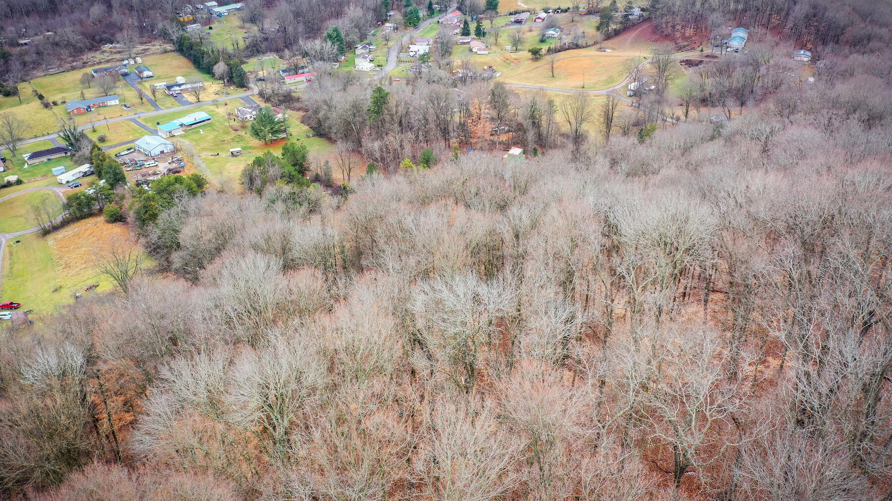 308 Ellis Road Blountville, TN 37617 - Photo 9 of 16 109