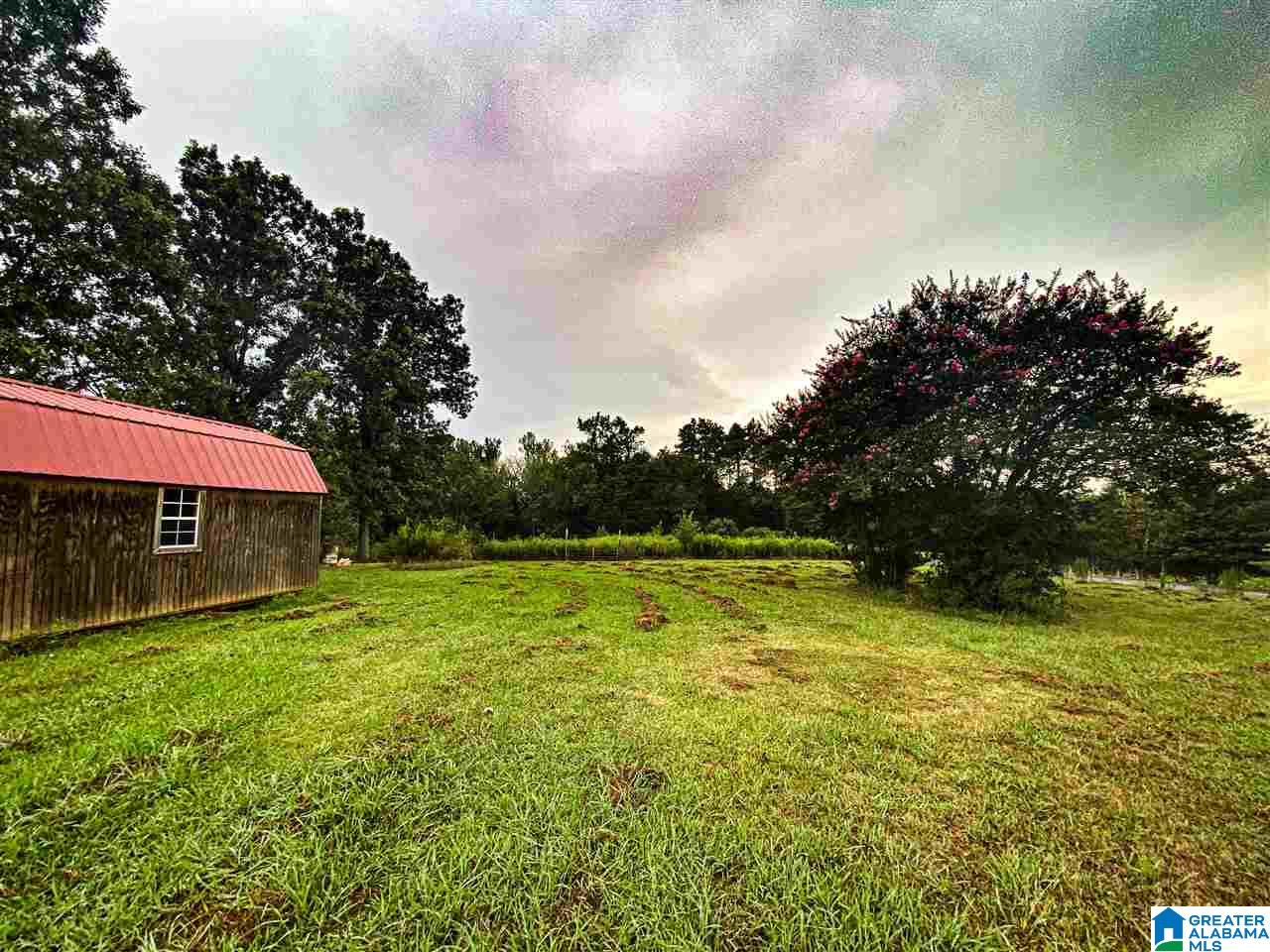 2273 Mitchellville Road Ohatchee, AL 36271 - Photo 9 of 35