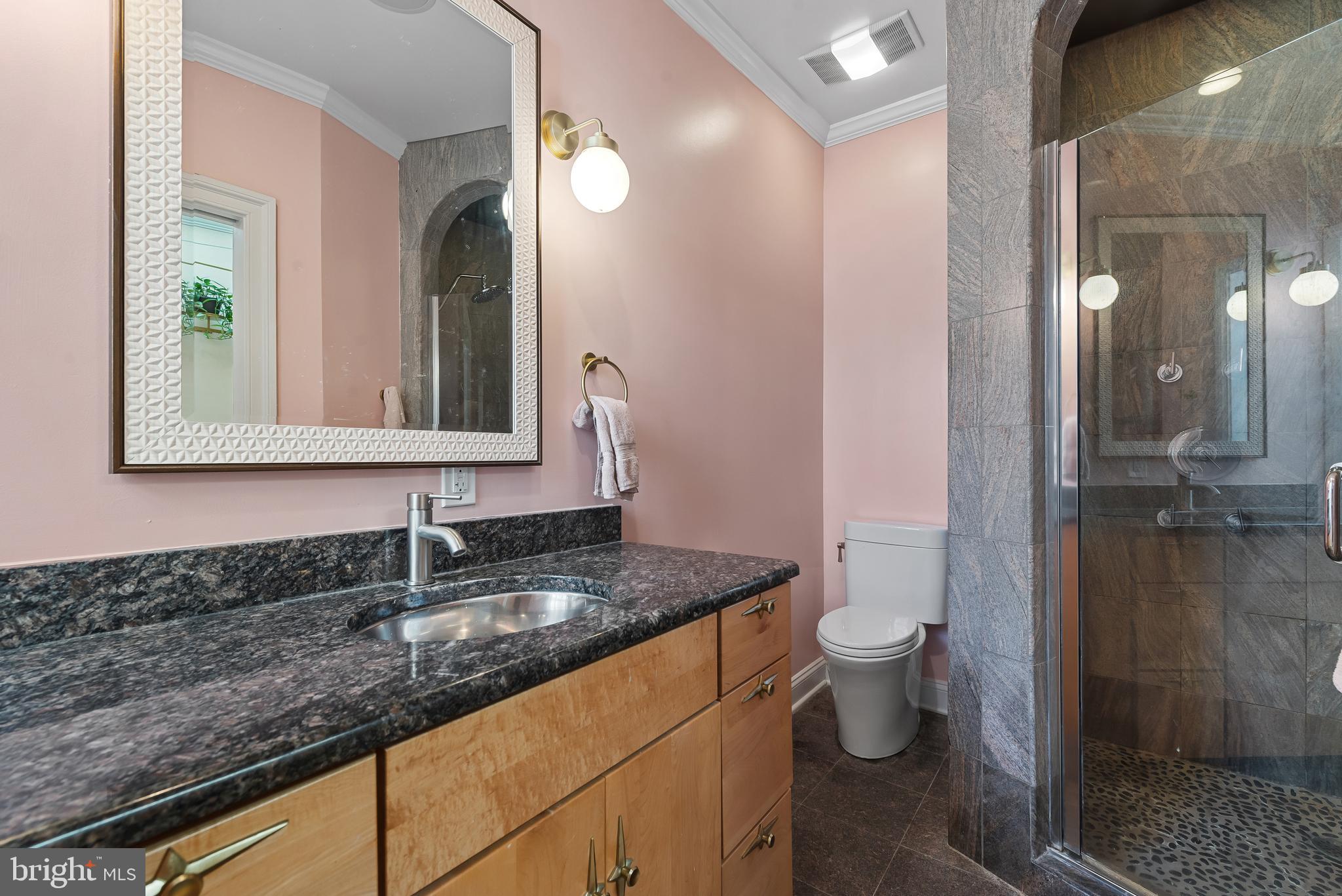 3006 Dillon Street Baltimore, MD 21224 - Photo 17 of 27 a bathroom with a granite countertop sink a toilet a mirror and shower
