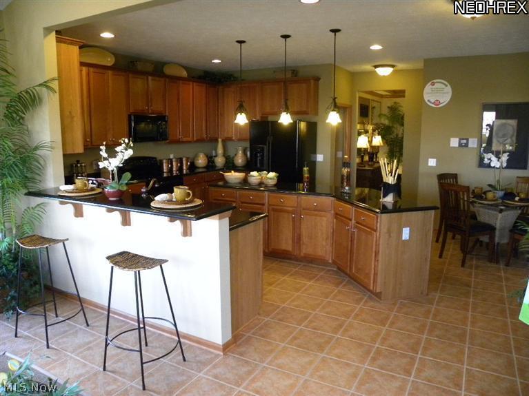 3683 Case Road Avon, OH 44011 - Photo 9 of 25 Gallery Image 9