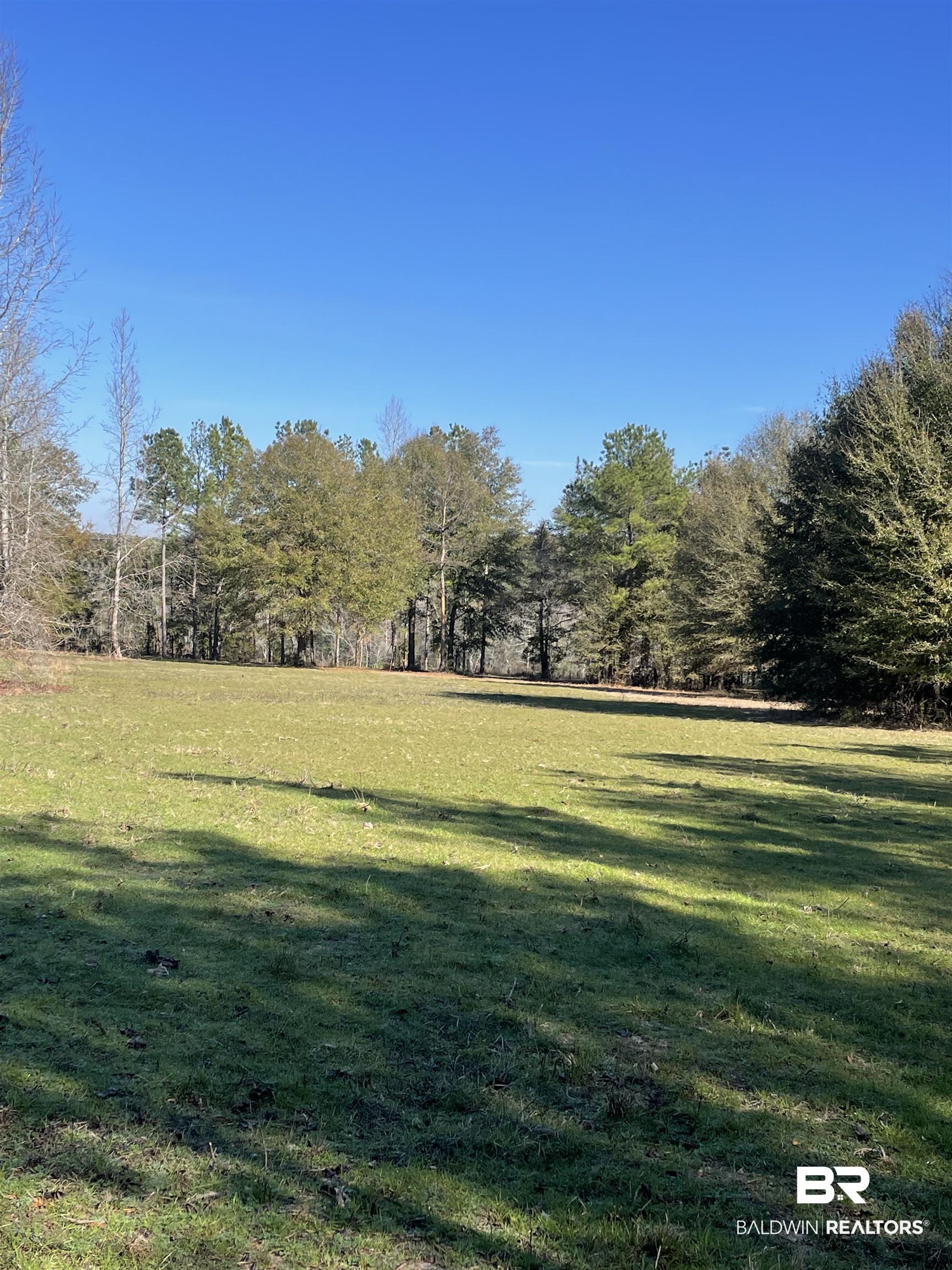 529 Sand Bottom Road Peterman, AL 36471 - Photo 1 of 5 View of yard