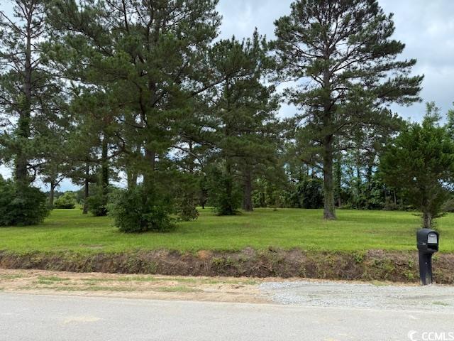 9.76-acs Rabon Road Aynor, SC 29511 - Photo 2 of 20