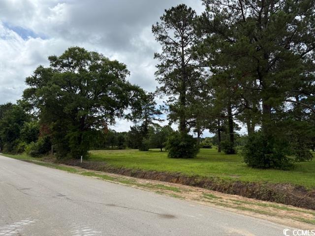 9.76-acs Rabon Road Aynor, SC 29511 - Photo 3 of 20