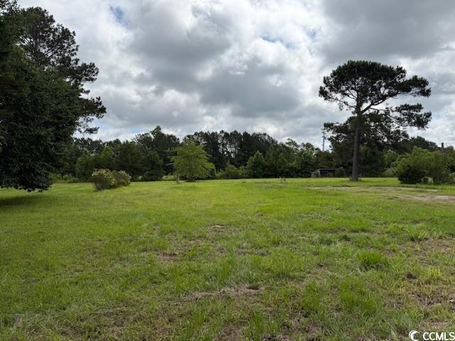 9.76-acs Rabon Road Aynor, SC 29511 - Photo 5 of 20