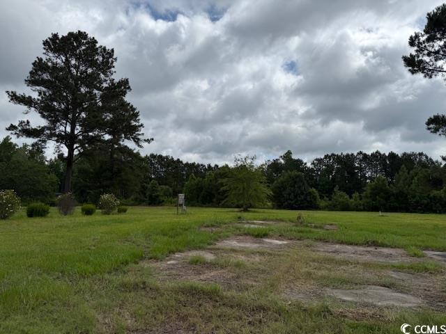 9.76-acs Rabon Road Aynor, SC 29511 - Photo 6 of 20