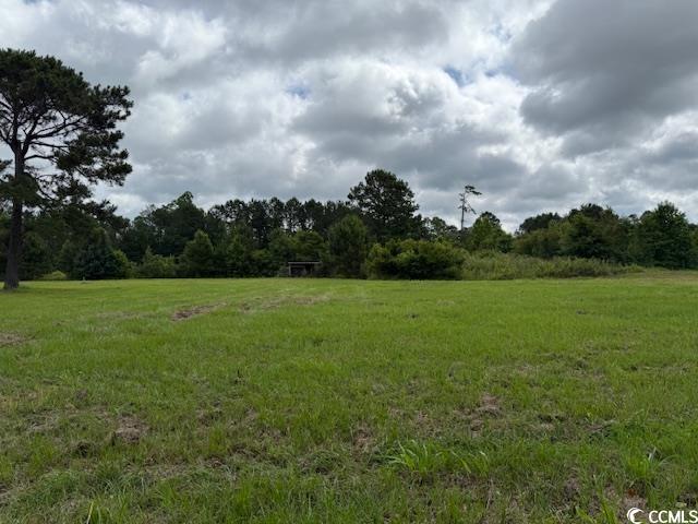 9.76-acs Rabon Road Aynor, SC 29511 - Photo 7 of 20