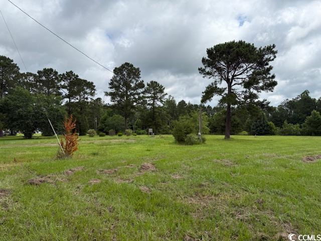 9.76-acs Rabon Road Aynor, SC 29511 - Photo 8 of 20