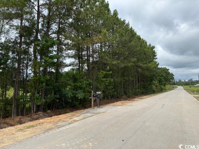 9.76-acs Rabon Road Aynor, SC 29511 - Photo 10 of 20