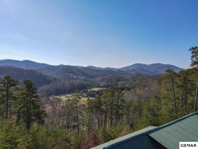 2148 Little Valley Road, Unit 11 Pigeon Forge, TN 37862 - Photo 31 of 33