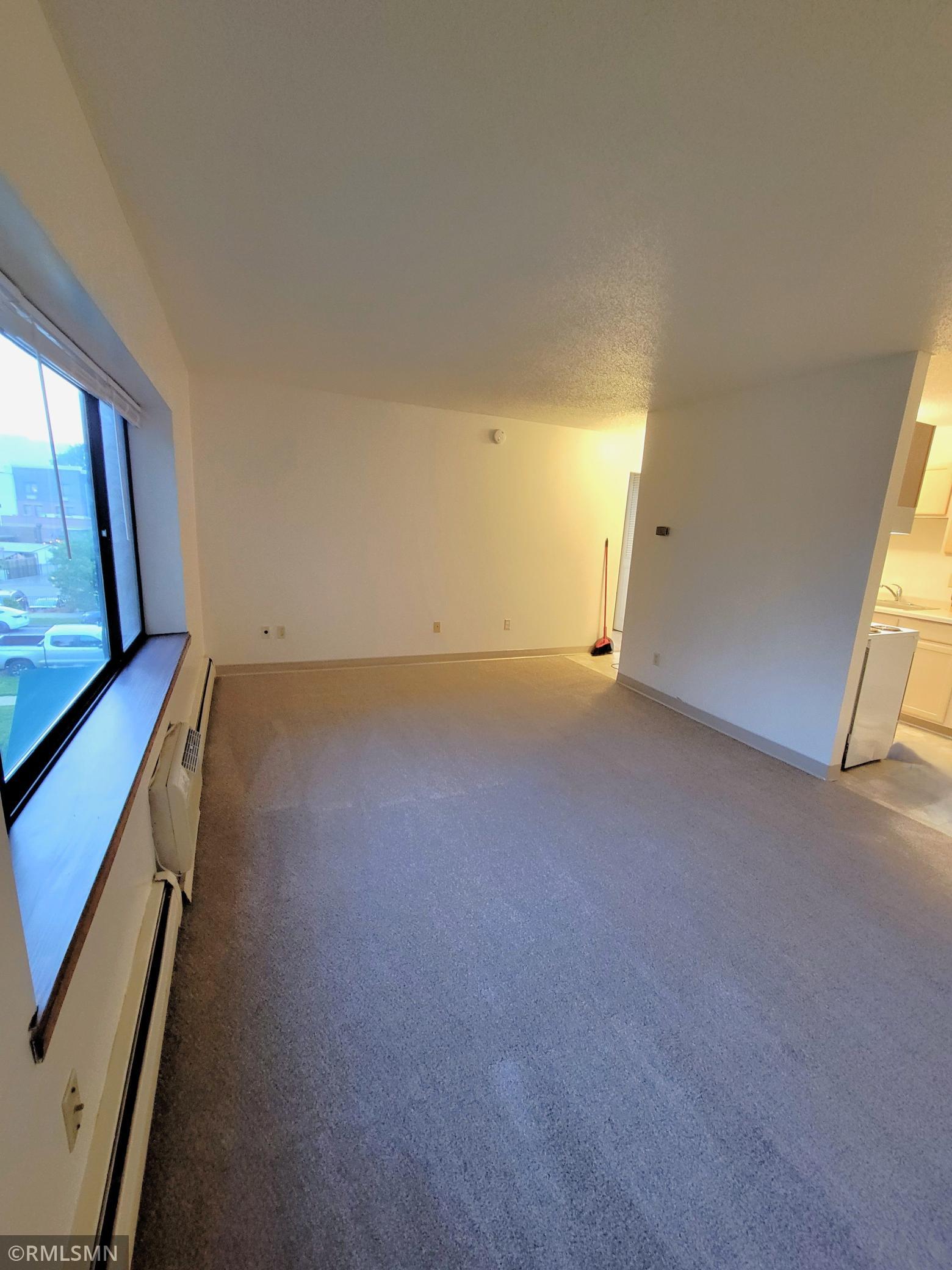 122 Spring Street, Unit 303 River Falls, WI 54022 - Photo 3 of 13