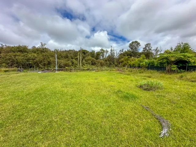 a backyard of a house with lots of green space and garden