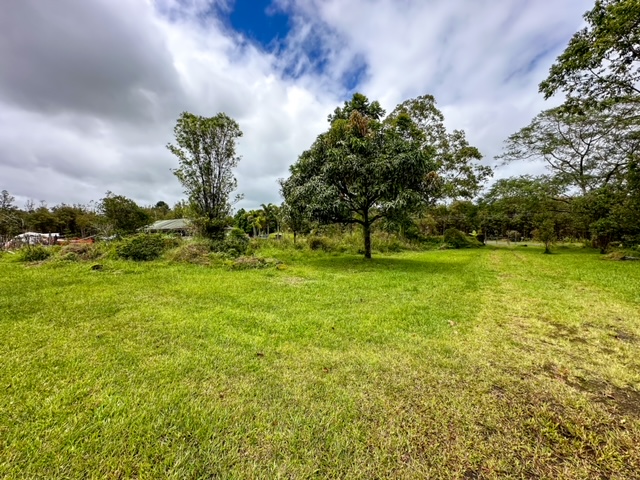 11-3239 4th Street Volcano, HI 96785 - Photo 13 of 22 a backyard of a house with lots of green space and garden