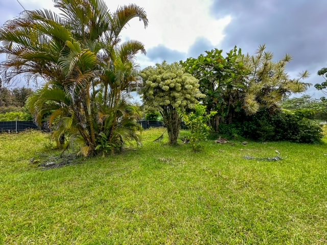 11-3239 4th Street Volcano, HI 96785 - Photo 15 of 22 a view of a garden